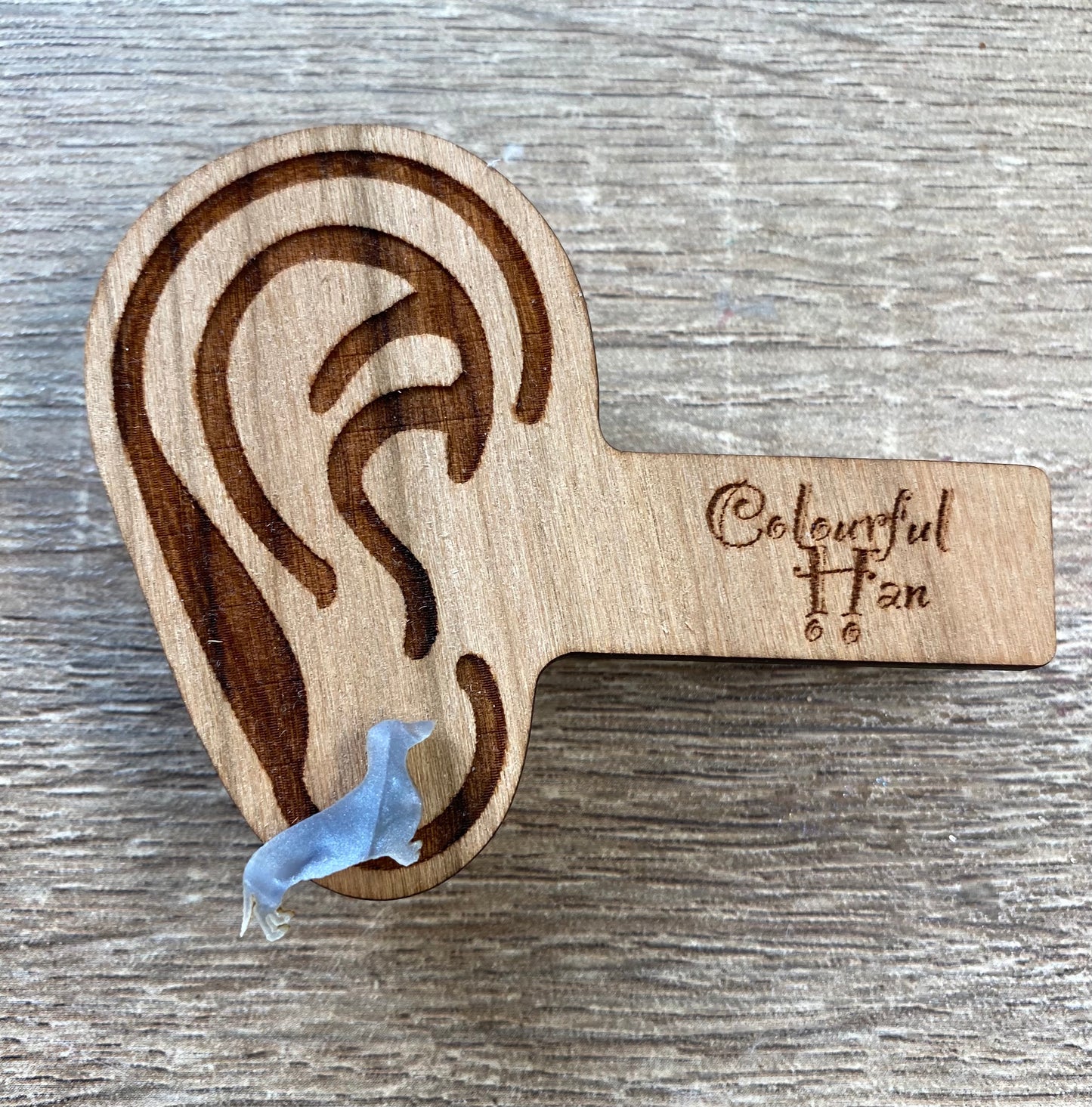 Mini Dachshund Studs
