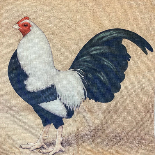 Chicken pillow case