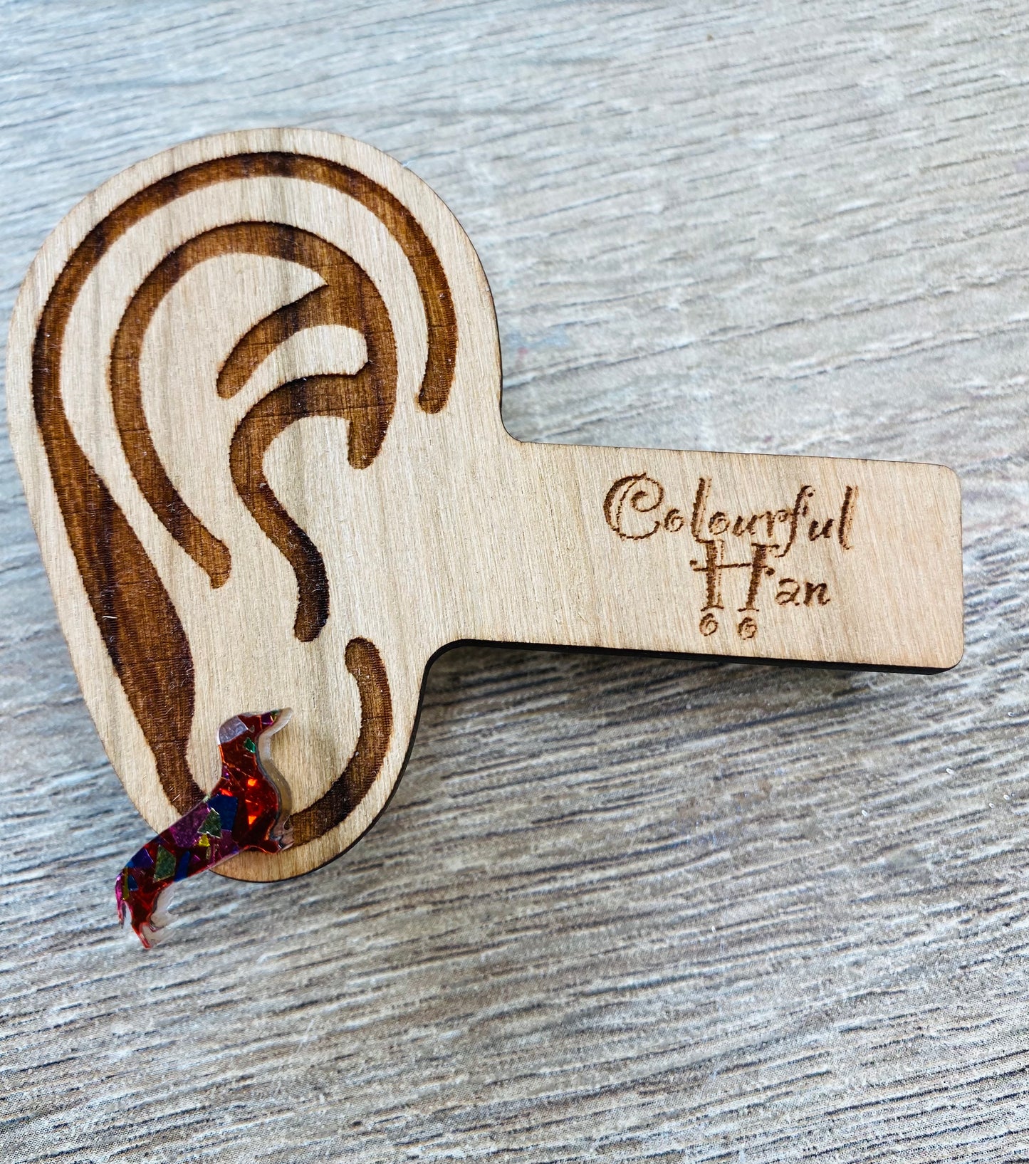Mini Dachshund Studs