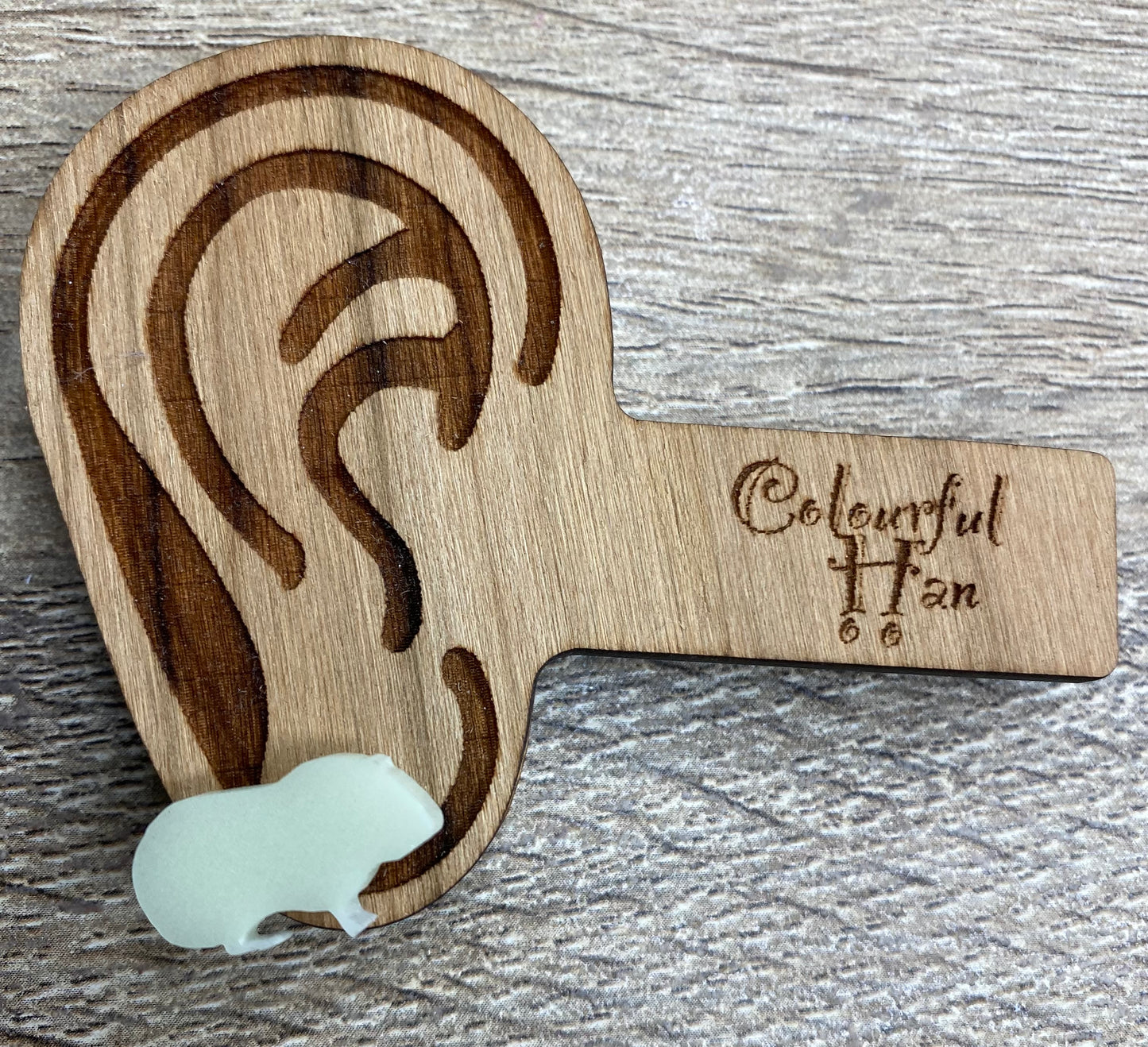Short Haired Guinea Pig Studs