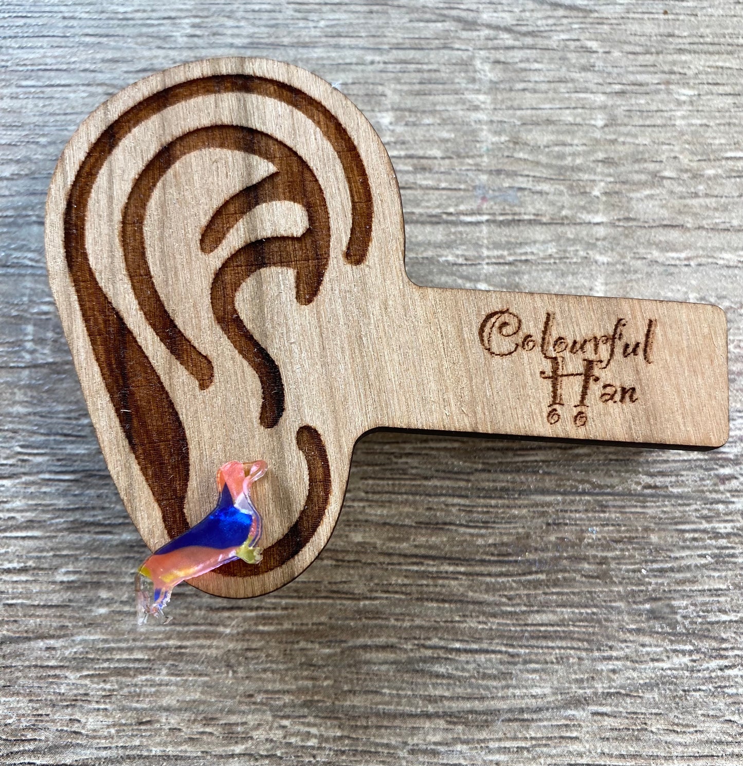 Mini Dachshund Studs