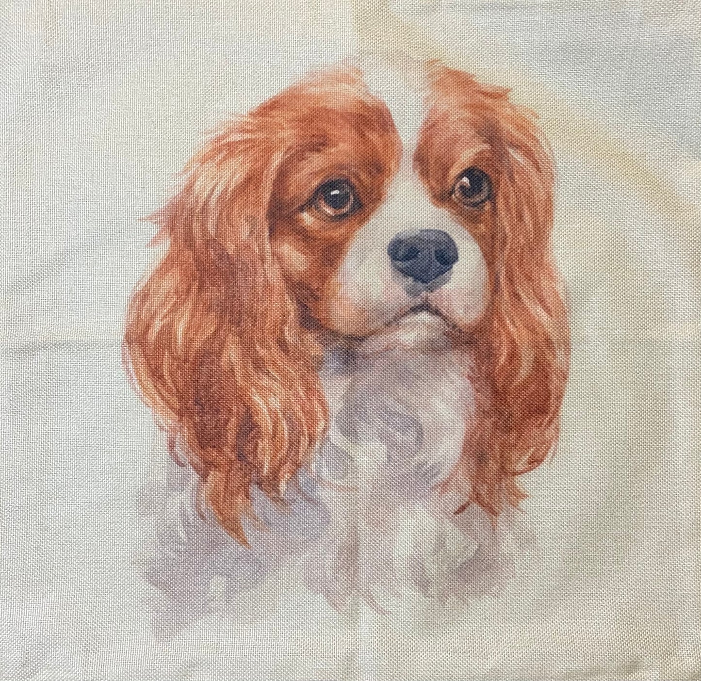 Dog pillow case