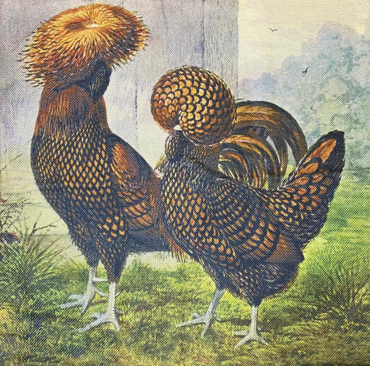 Chicken pillow case
