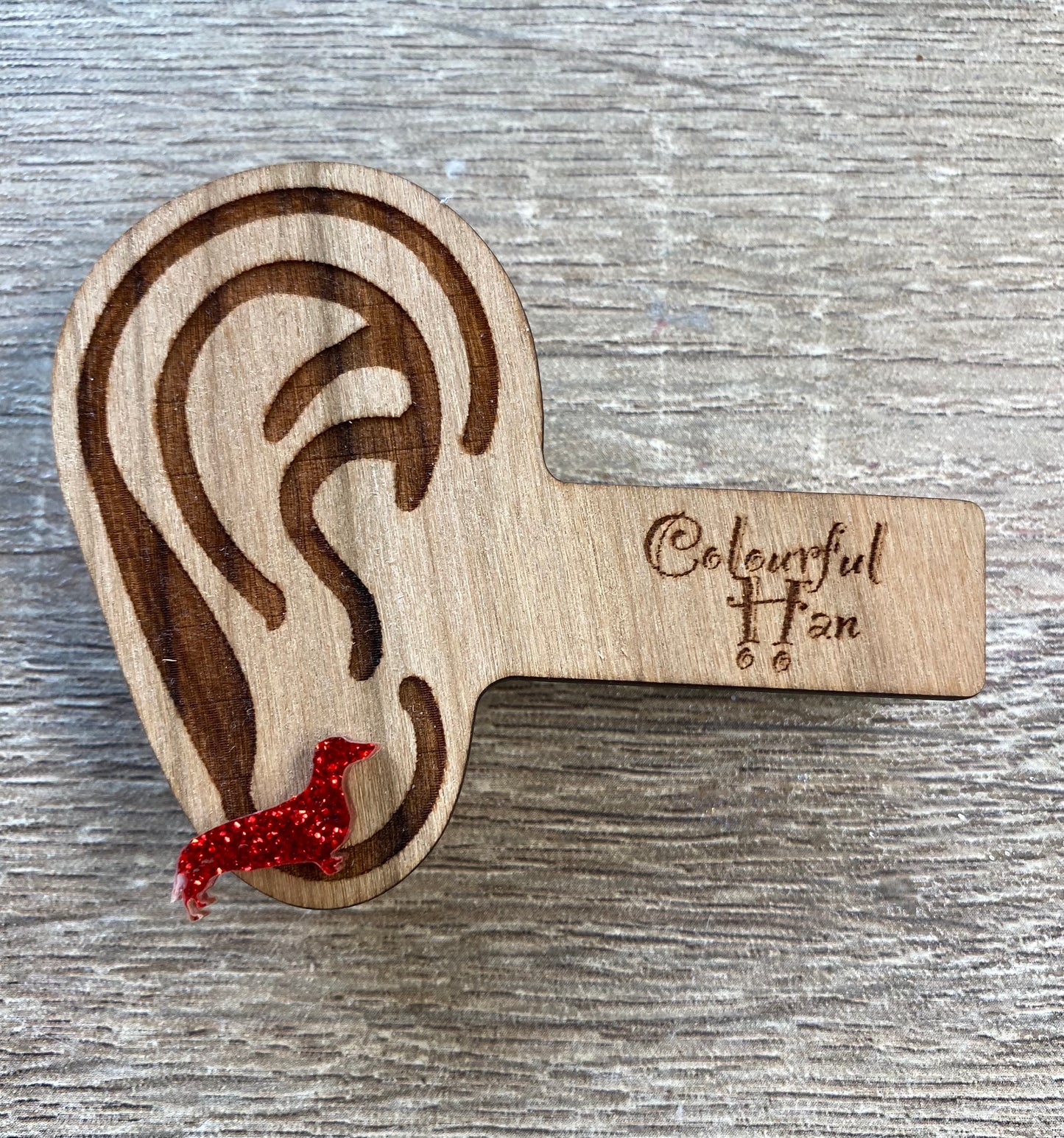 Mini Dachshund Studs