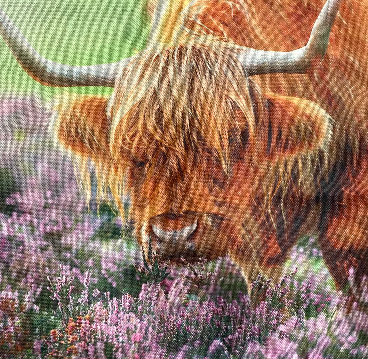 Cow pillow case