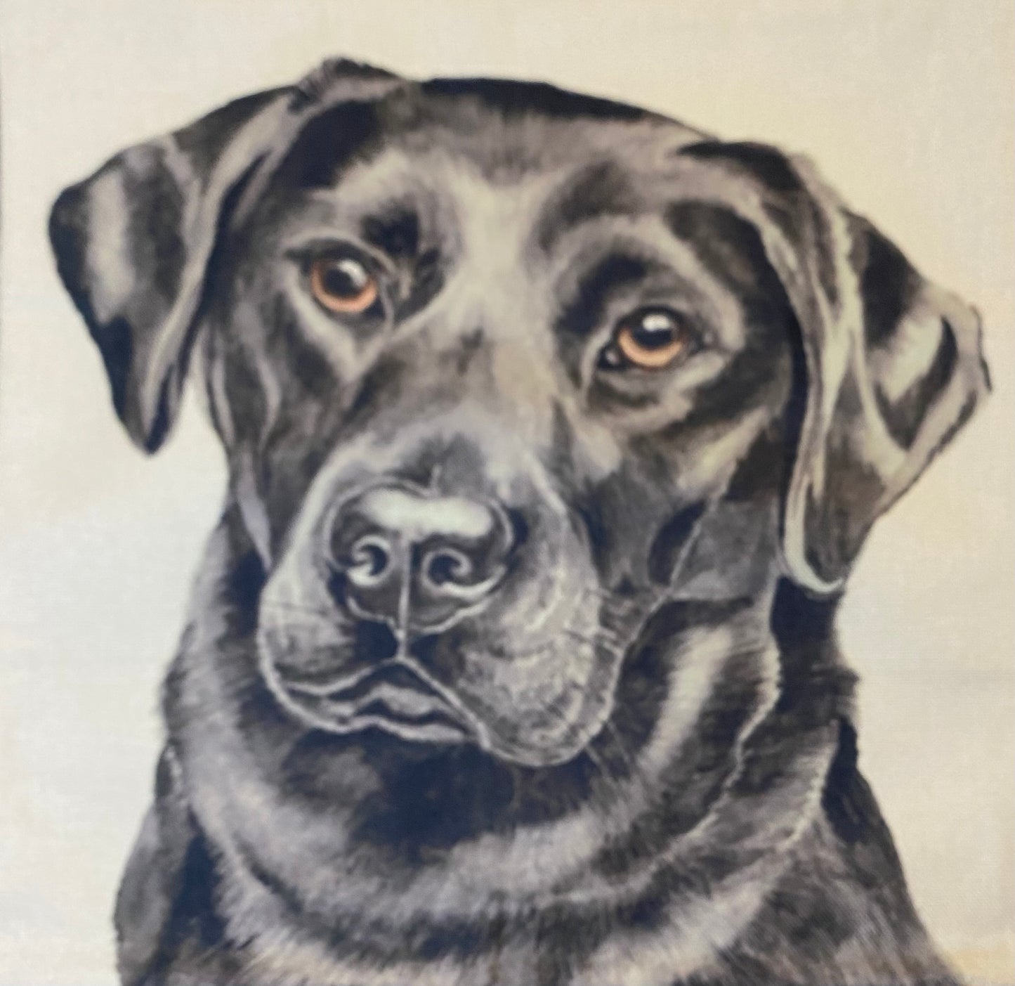 Dog pillow case