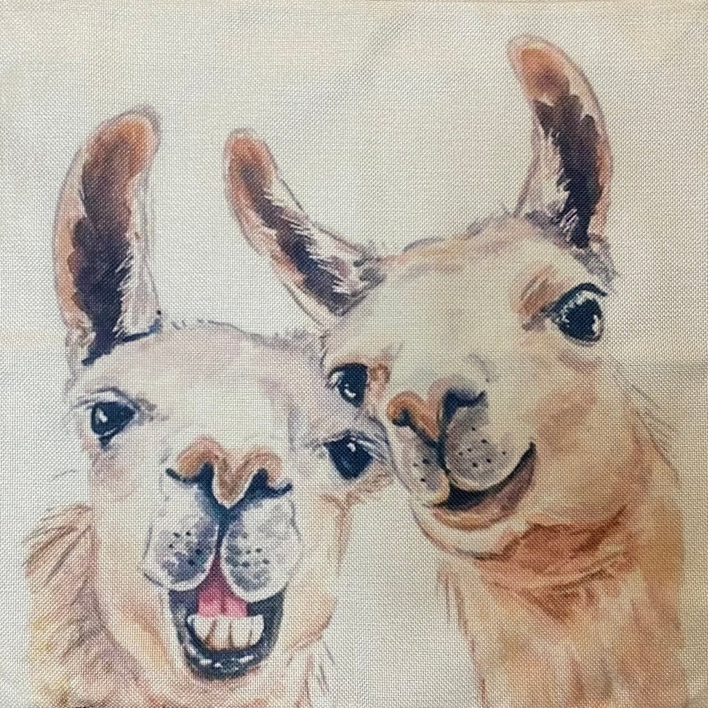 Llama pillow case