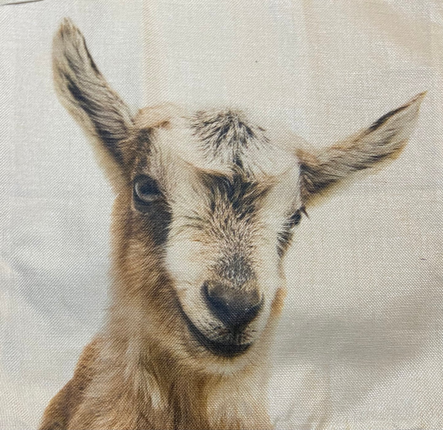 Goat pillow case