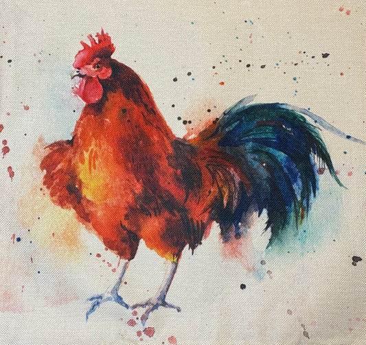 Chicken pillow case