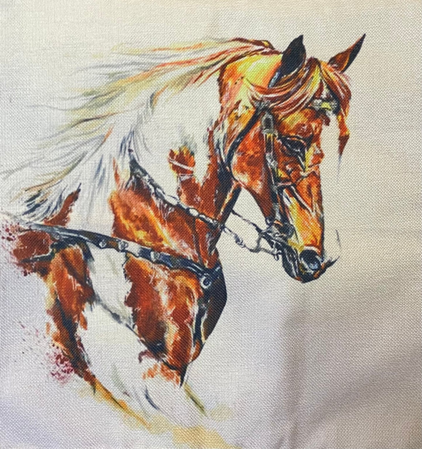 Horse pillow case