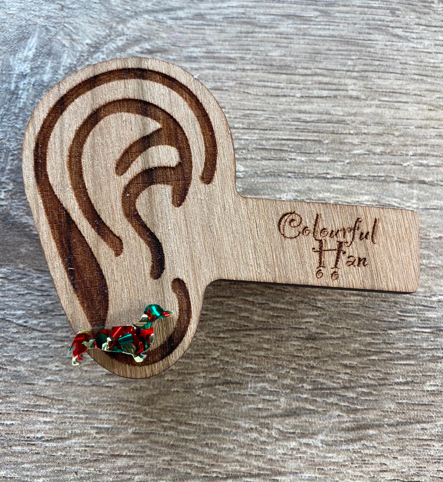 Mini Dachshund Studs
