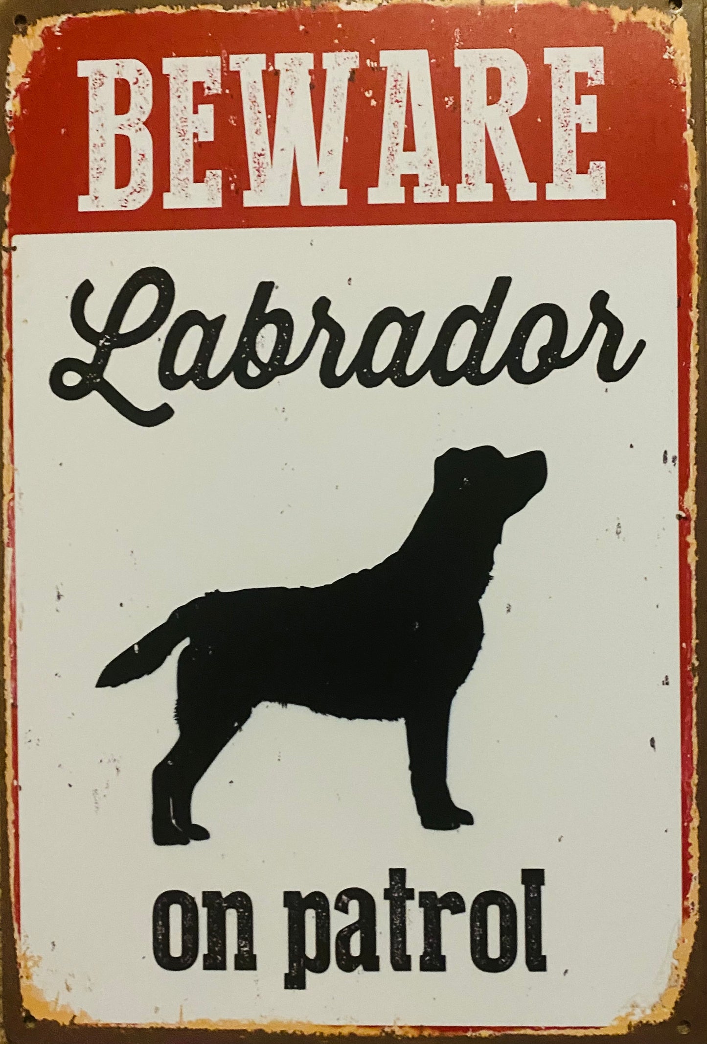 BEWARE Labrador on patrol