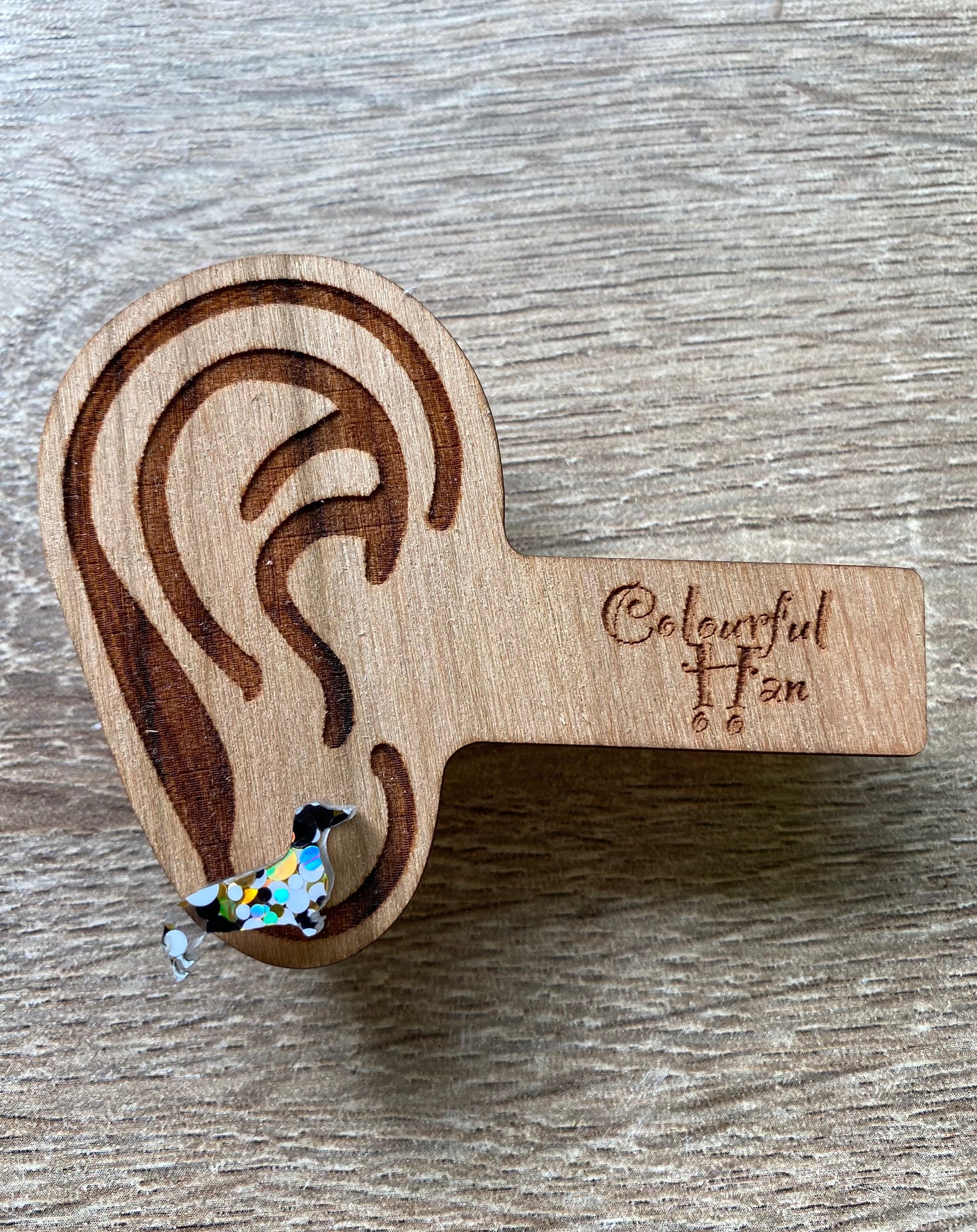 Mini Dachshund Studs