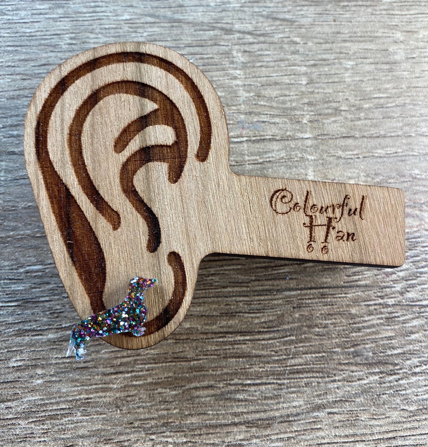 Mini Dachshund Studs