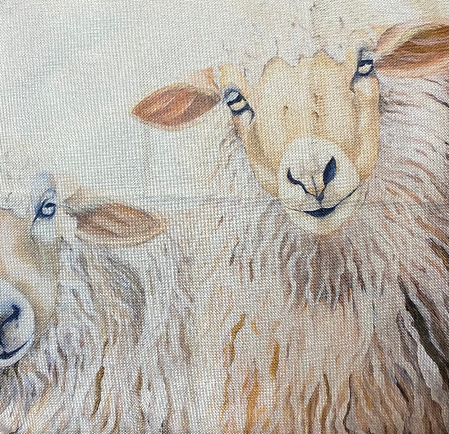 Sheep pillow case