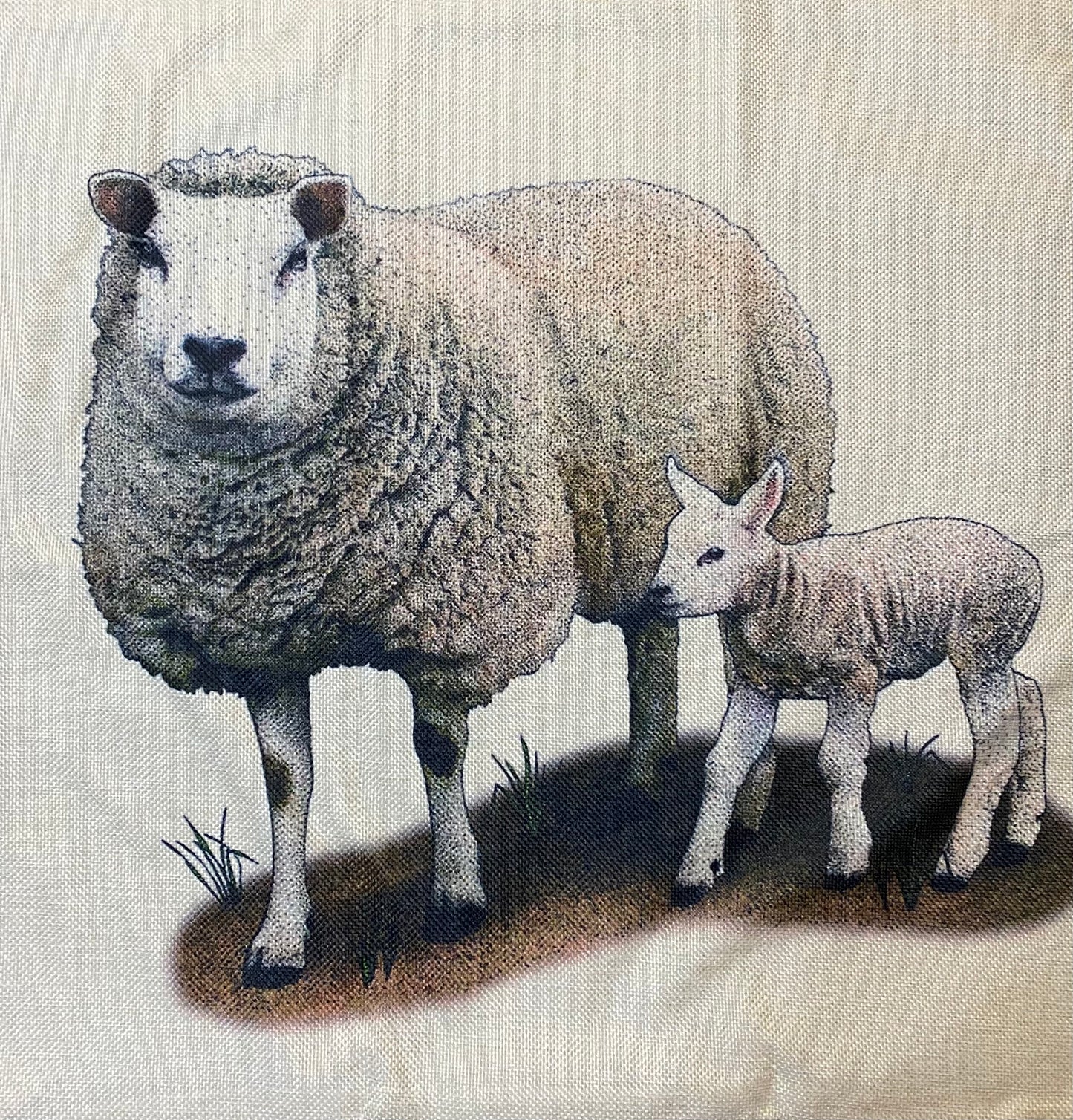 Sheep pillow case