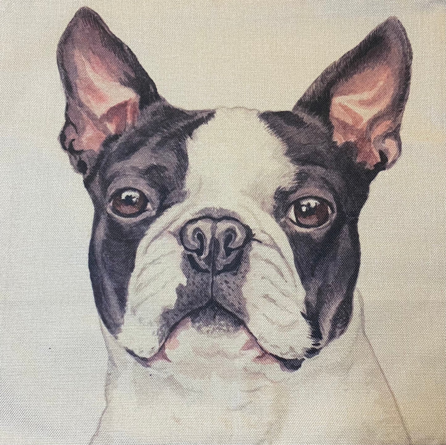 Dog pillow case