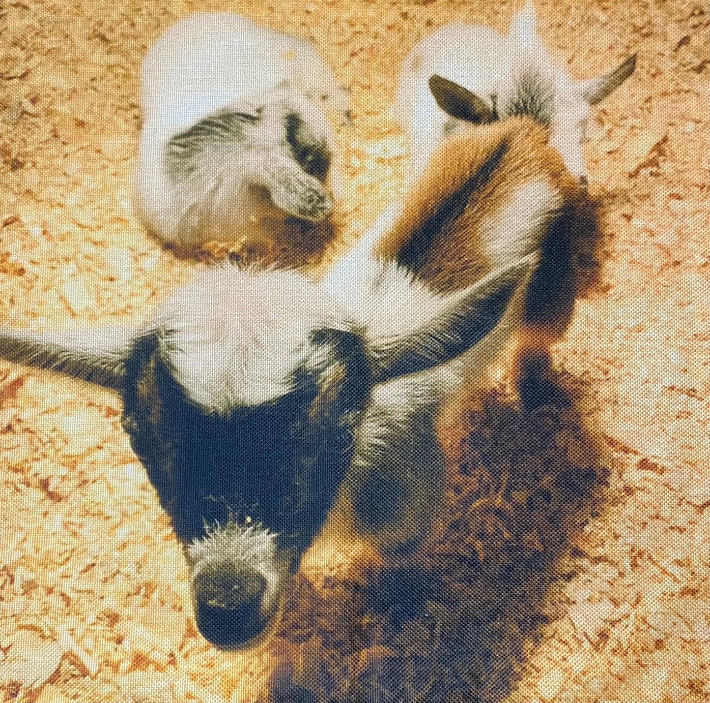 Goat pillow case