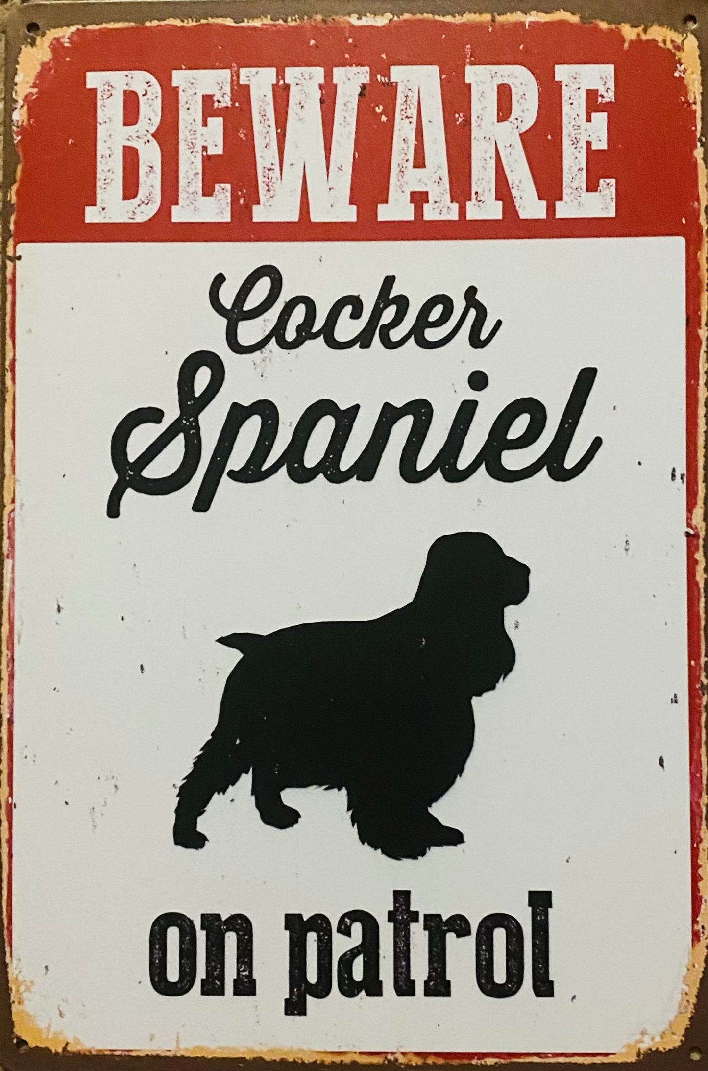 BEWARE Cockes Spaniel on patrol