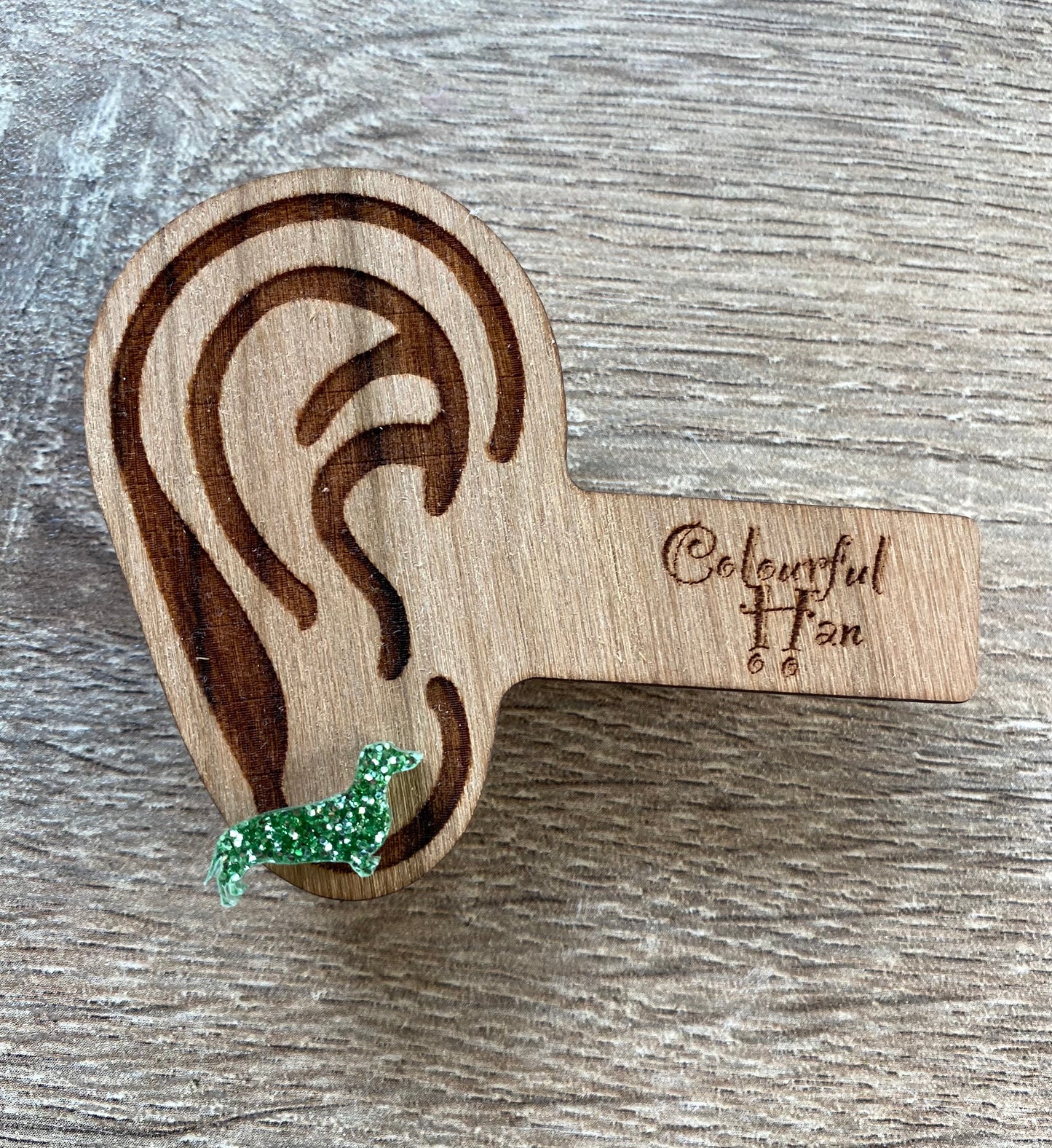 Mini Dachshund Studs