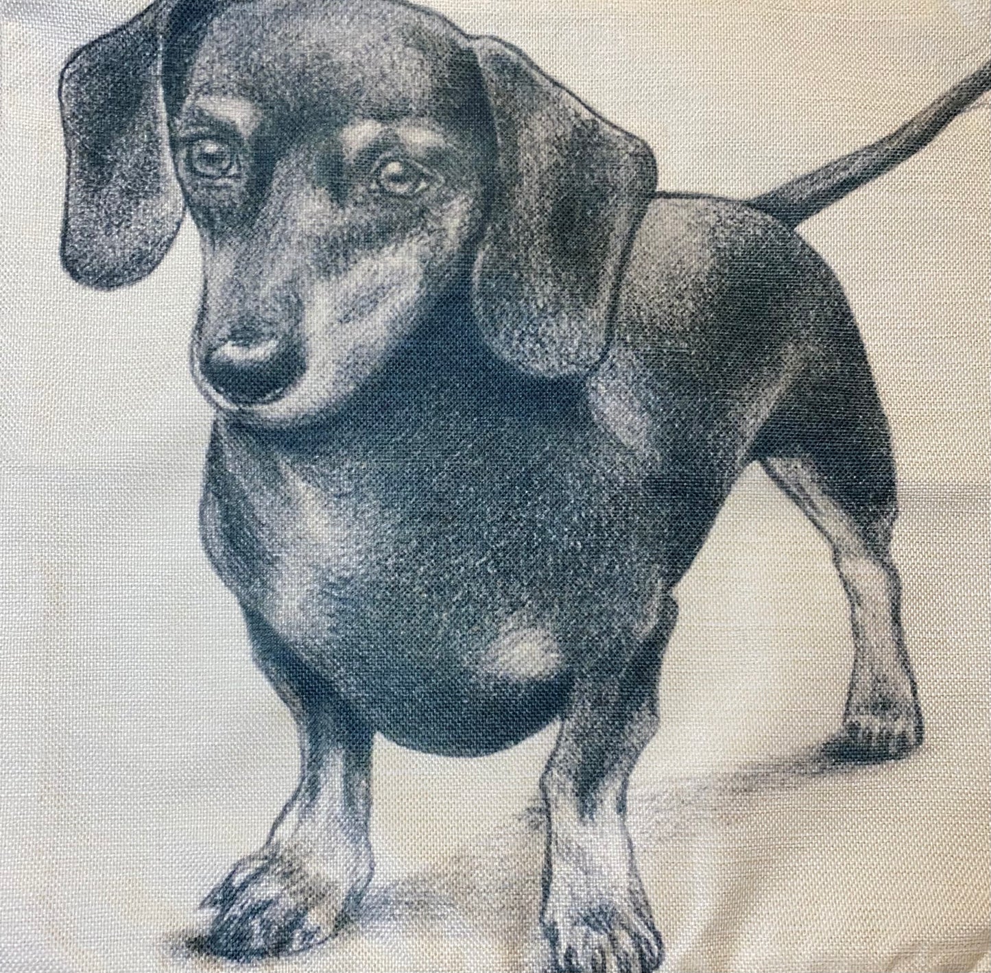 Dog pillow case