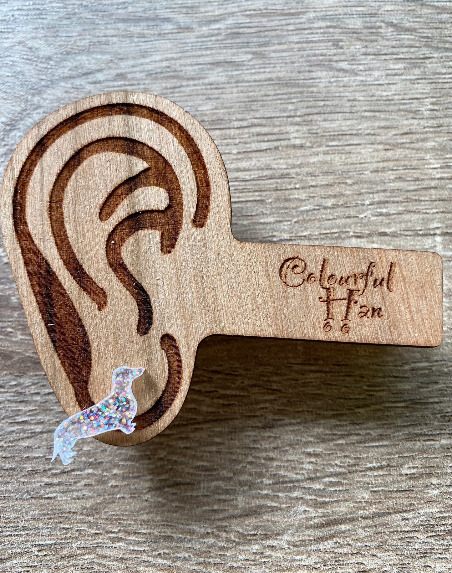 Mini Dachshund Studs