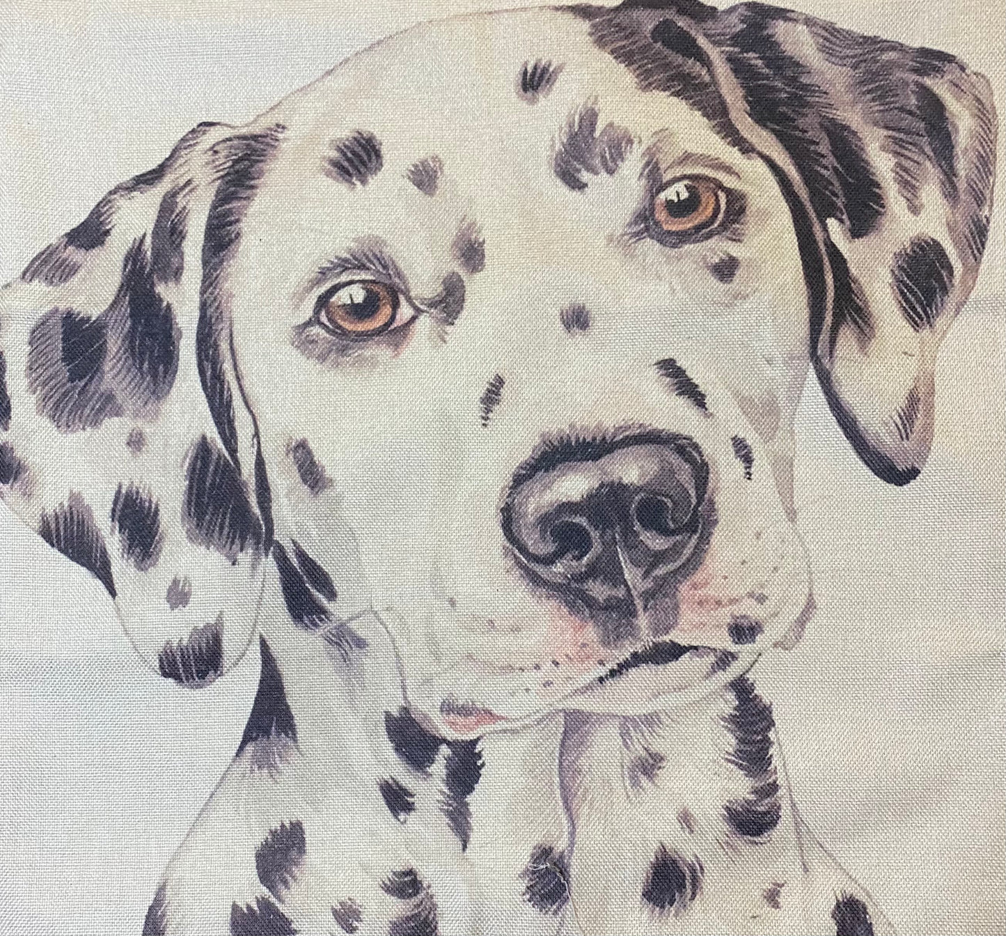 Dog pillow case