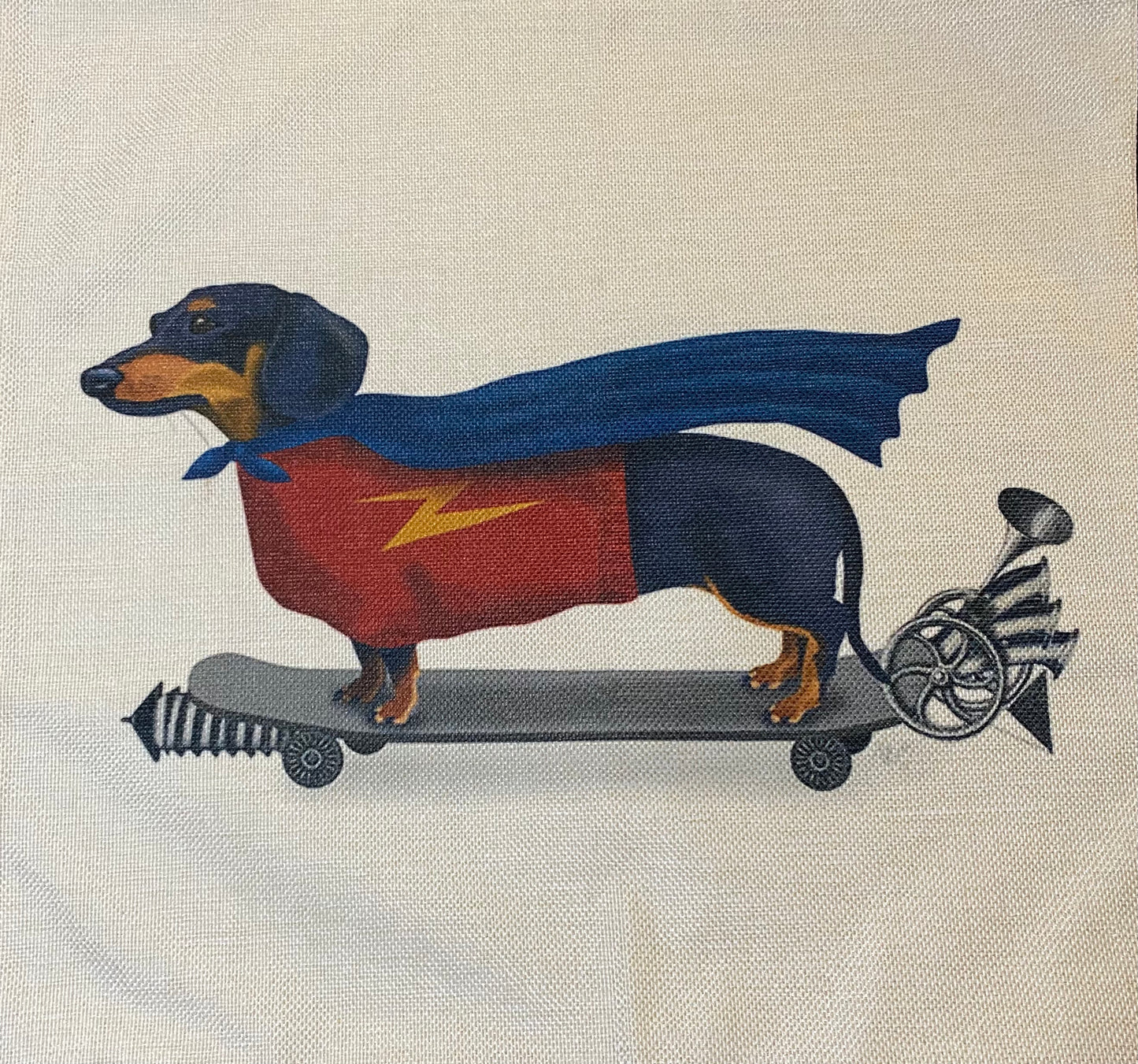 Dog pillow case
