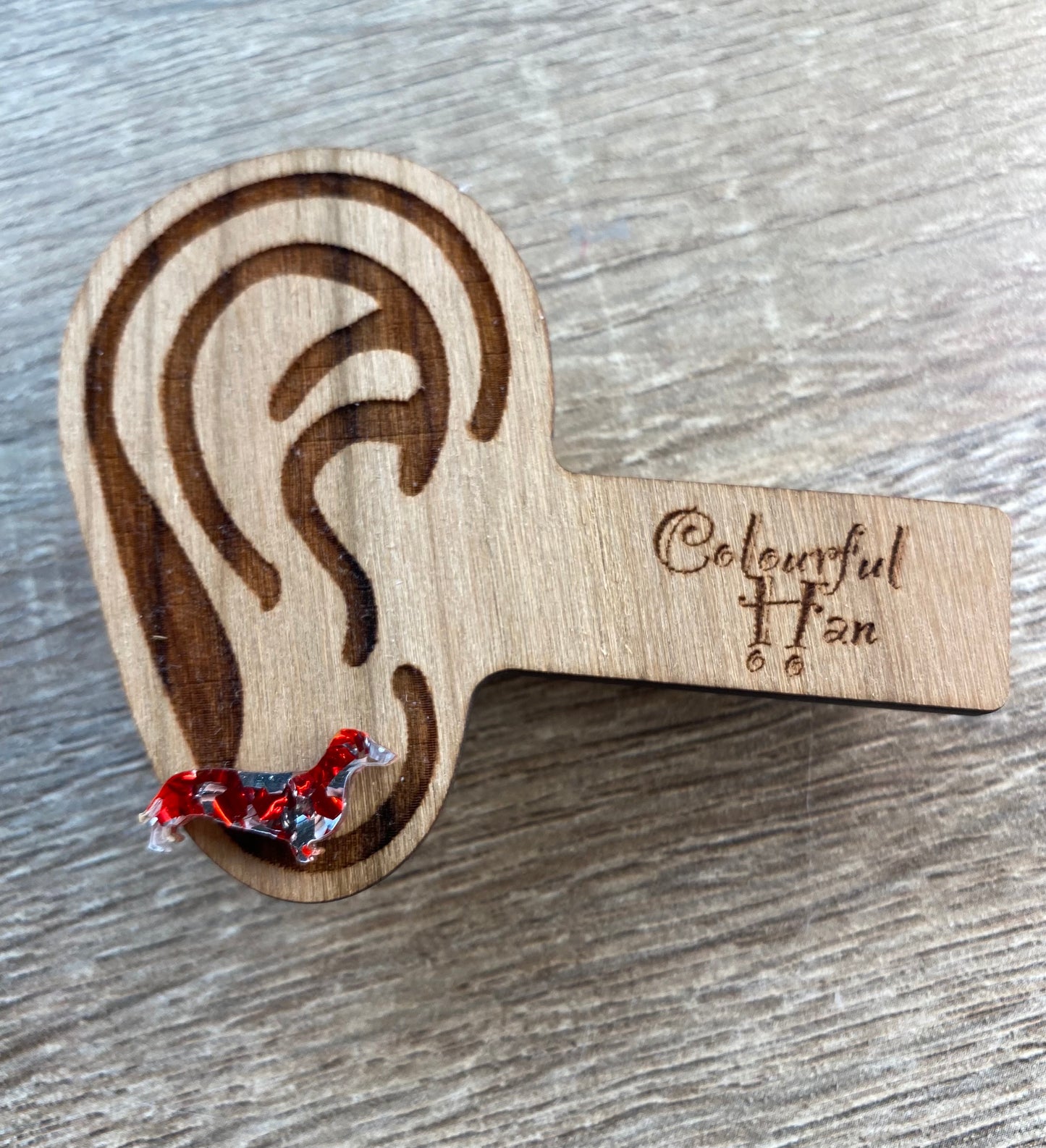 Mini Dachshund Studs