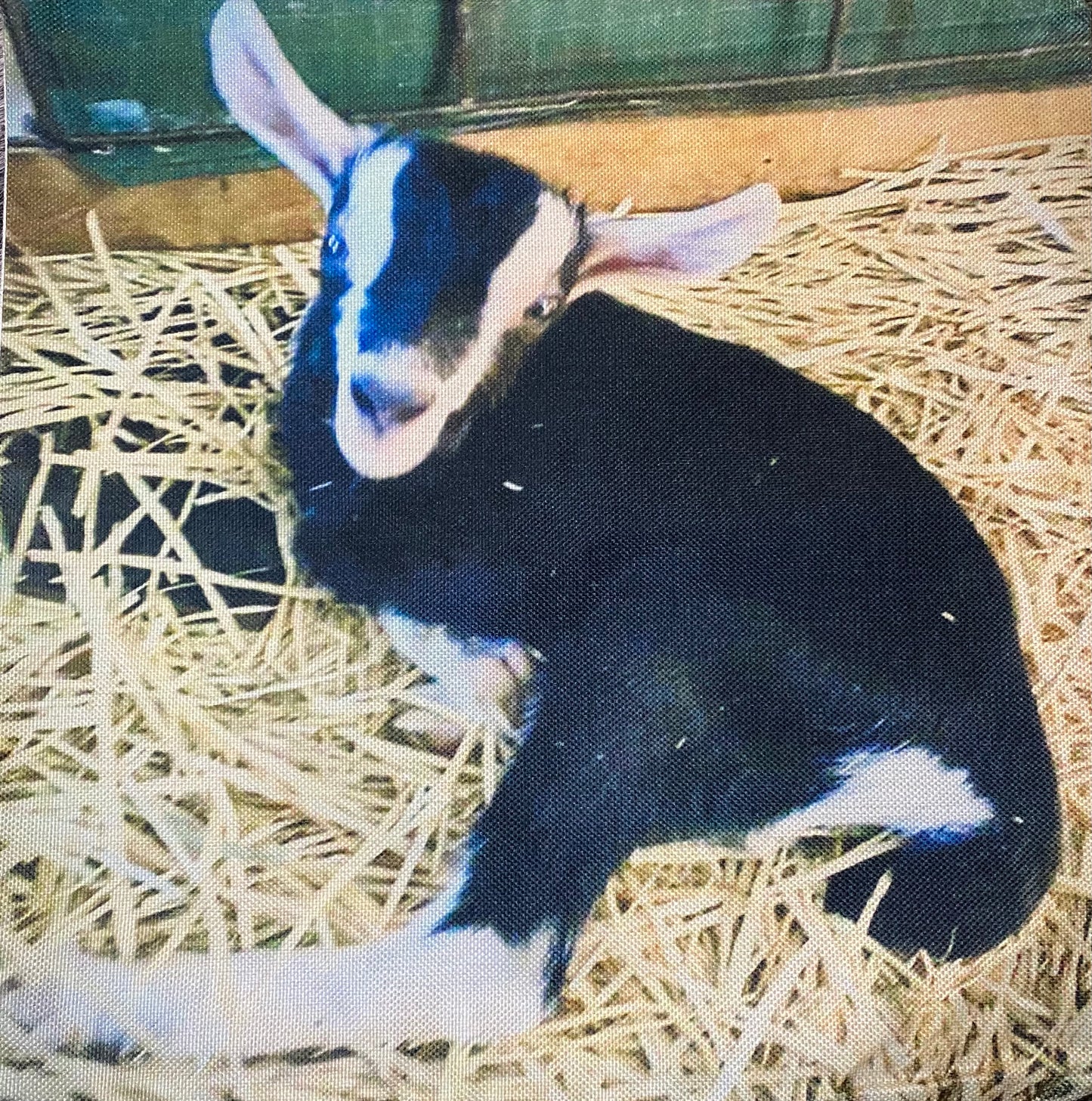 Goat pillow case