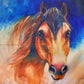 Horse pillow case