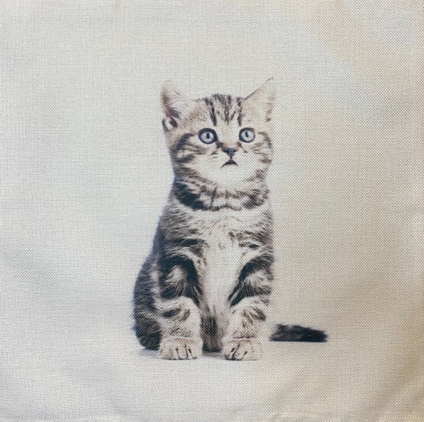 Kitten pillow case