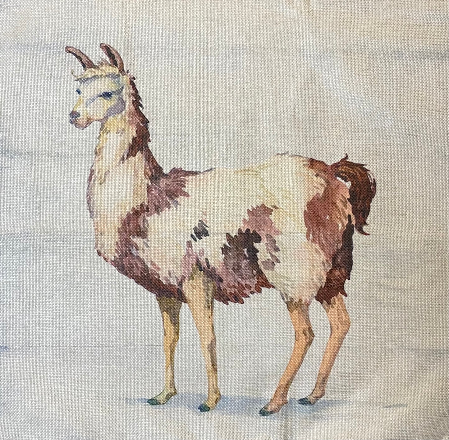 Llama pillow case