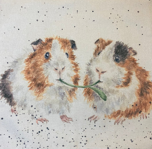 Guinea Pig Pillowcases