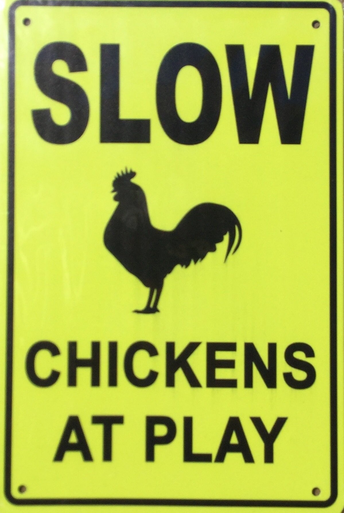 SLOW Chickens At Play