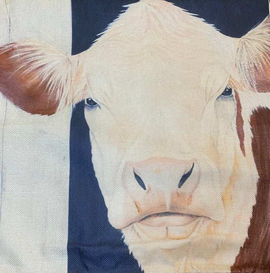 Cow pillow case