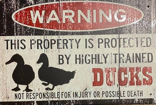 This property is protected by highly trained ducks