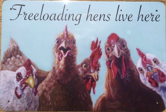 Freeloading hens live here