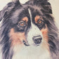 Dog pillow case