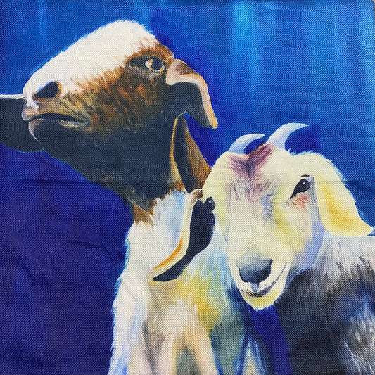 Goat pillow case