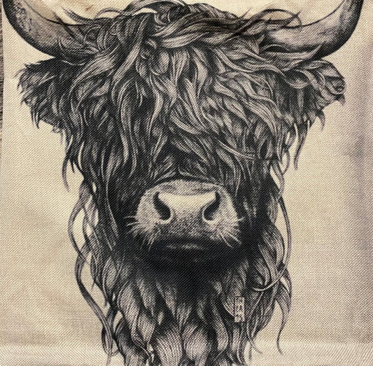 Cow pillow case