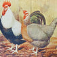Chicken pillow case