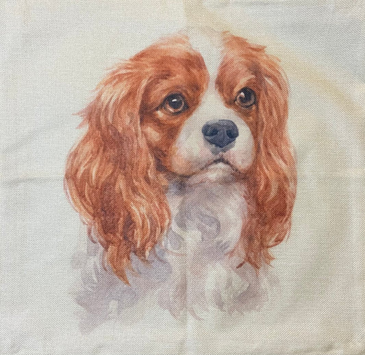 Dog pillow case
