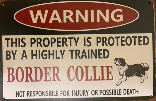 Property is protected by a Border Collie