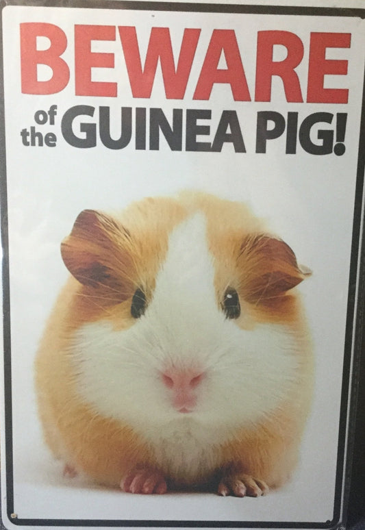 Beware of the Guinea Pig!