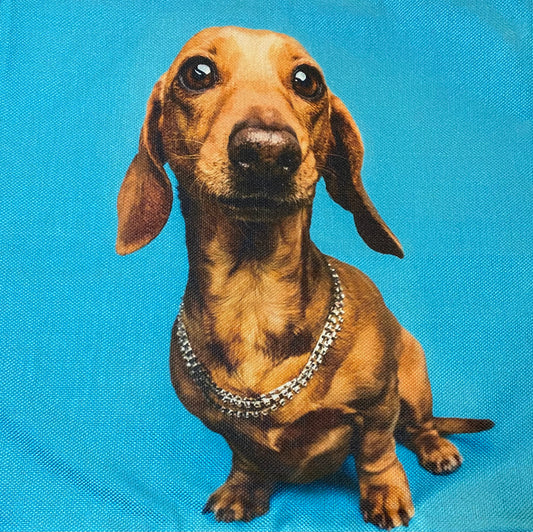 Dog pillow case