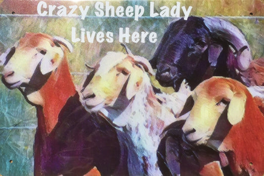 Crazy Sheep Lady