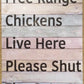 Free Range Chickens
