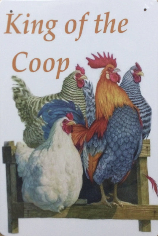 King of the coop