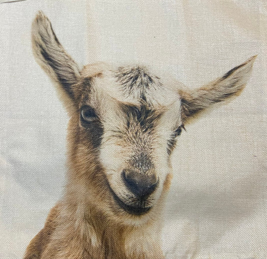 Goat pillow case